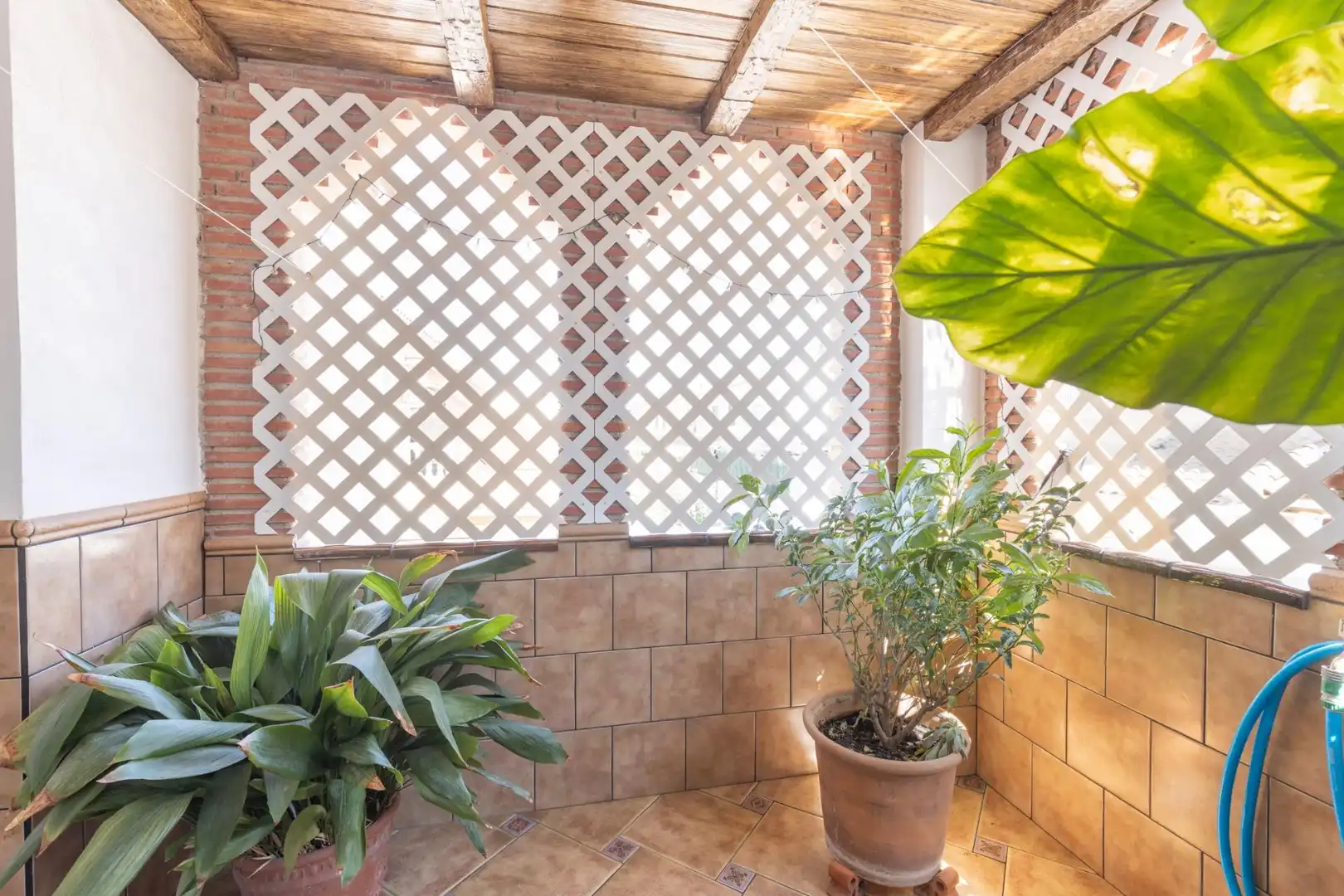 Adosado en venta en Calle Amapola 75, imagen 39