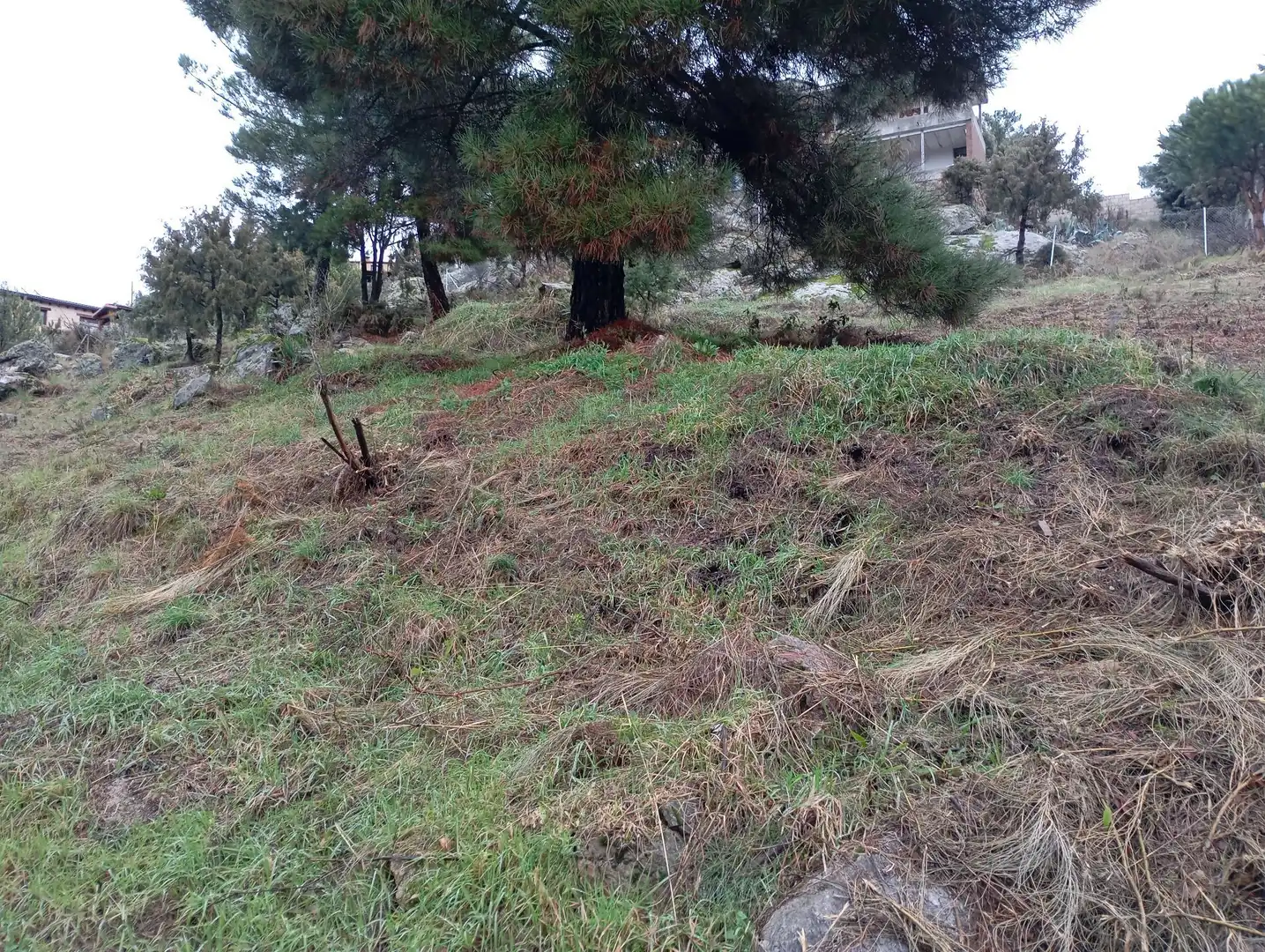 Terreni e lotti in vendita a Robledo de Chavela, imagen 30