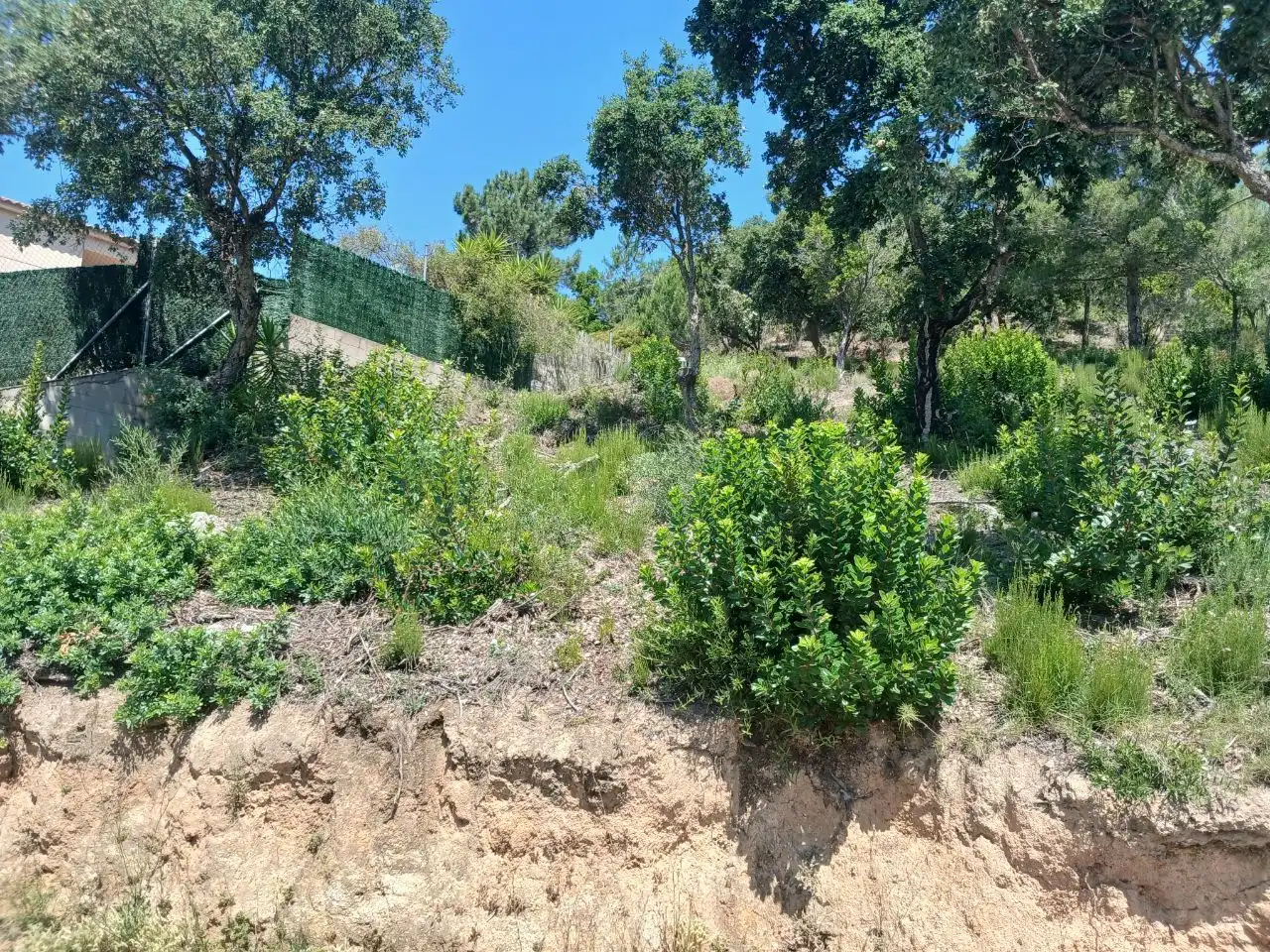 Wohnbaugrundstück zum Verkauf in Lloret Verd - Els Pinars, imagen 3