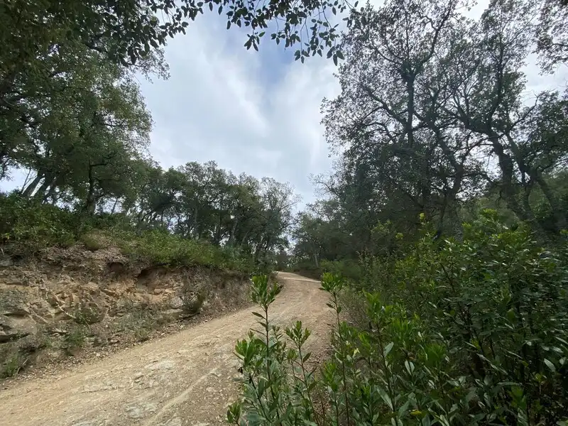 Terreny residencial en venda a Nou Carrer