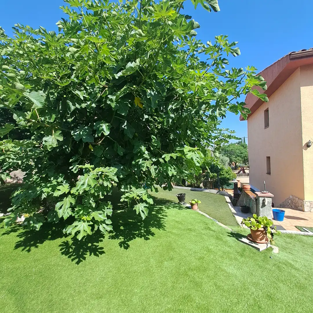 Villa mit Terrasse zum Verkauf in Carrer Pep Ventura, imagen 10