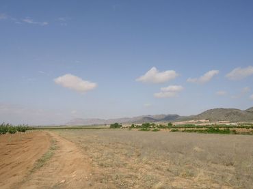 Terreno rustico in vendita a Yecla