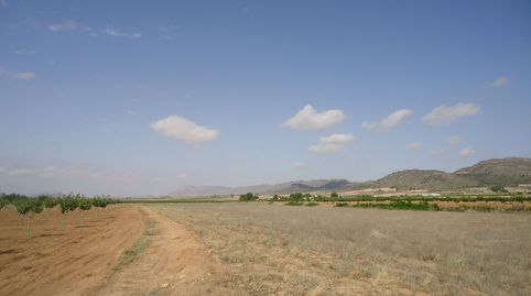 Parcela de 6.466 m2 en Yecla Murcia