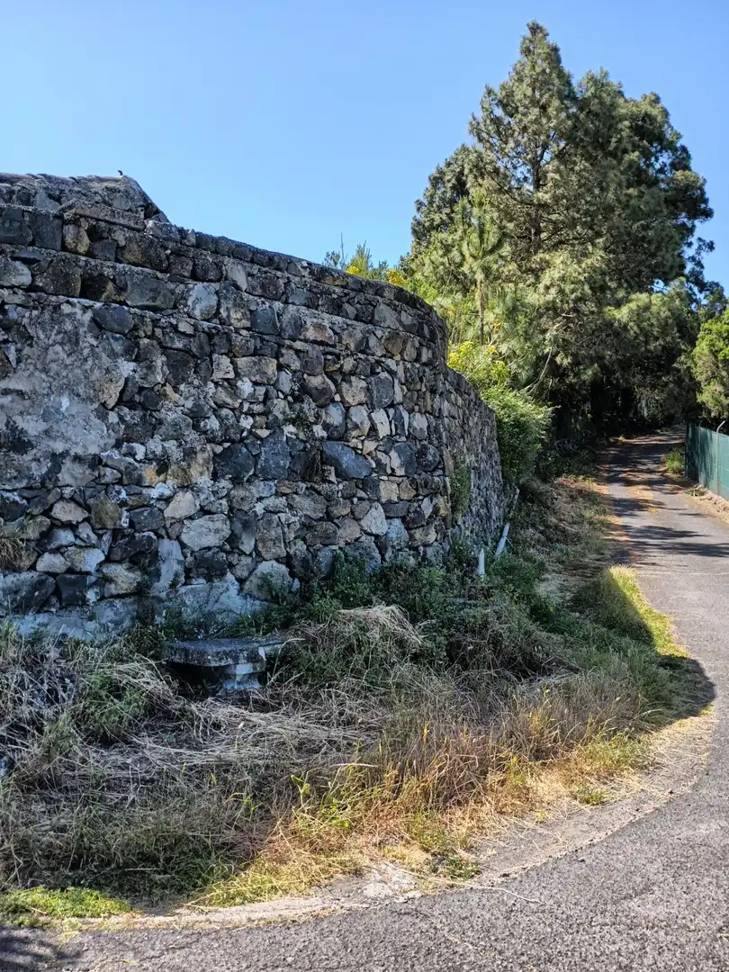 Vista exterior de Finca rústica en venta en Garachico