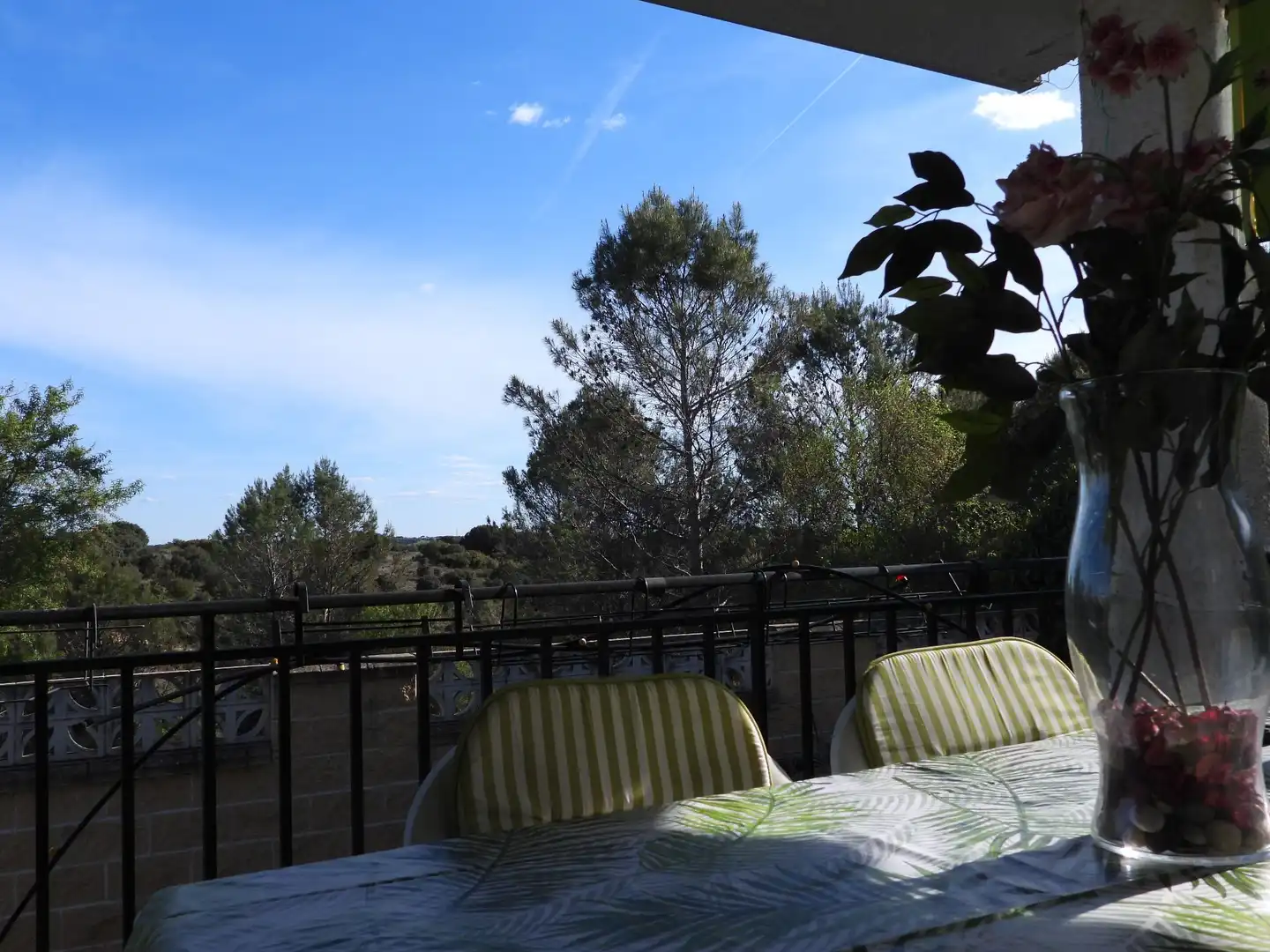 Terrassa de Casa o xalet en venda en Pezuela de las Torres amb Calefacció, Jardí privat i Moblat