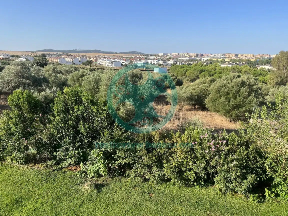 Casa o xalet en venda en Cáceres amb Aire condicionat, Jardí privat i Terrassa