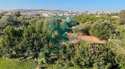 Foto 5 de Casa o xalet en venda a Nuevo Cáceres, Cáceres