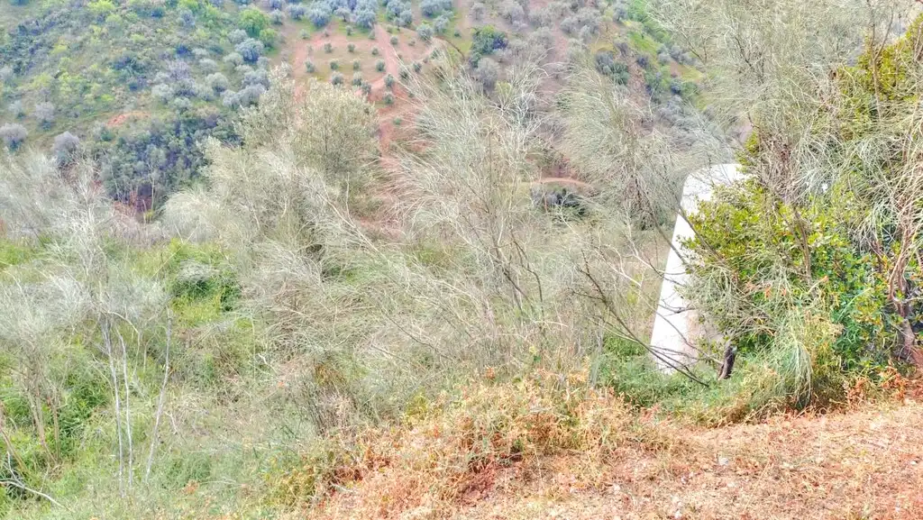 Terreni e lotti in vendita a Comares, imagen 17