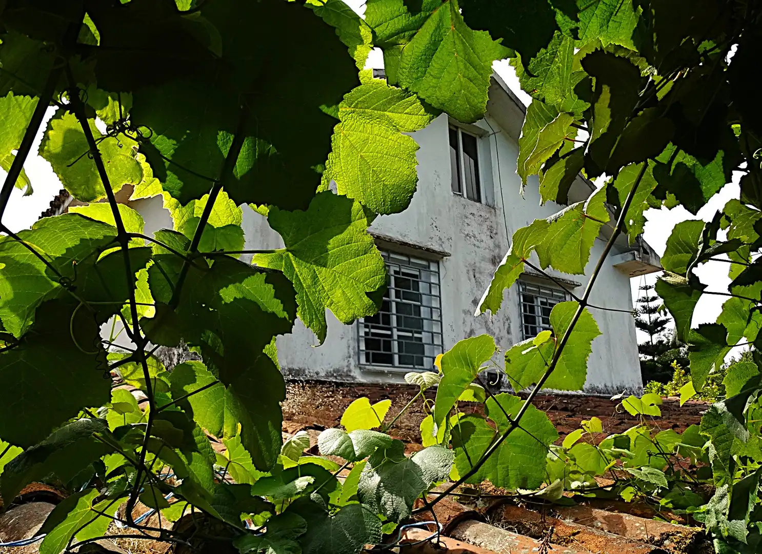 Vista exterior de Finca rústica en venda en Narón amb Calefacció, Jardí privat i Parquet