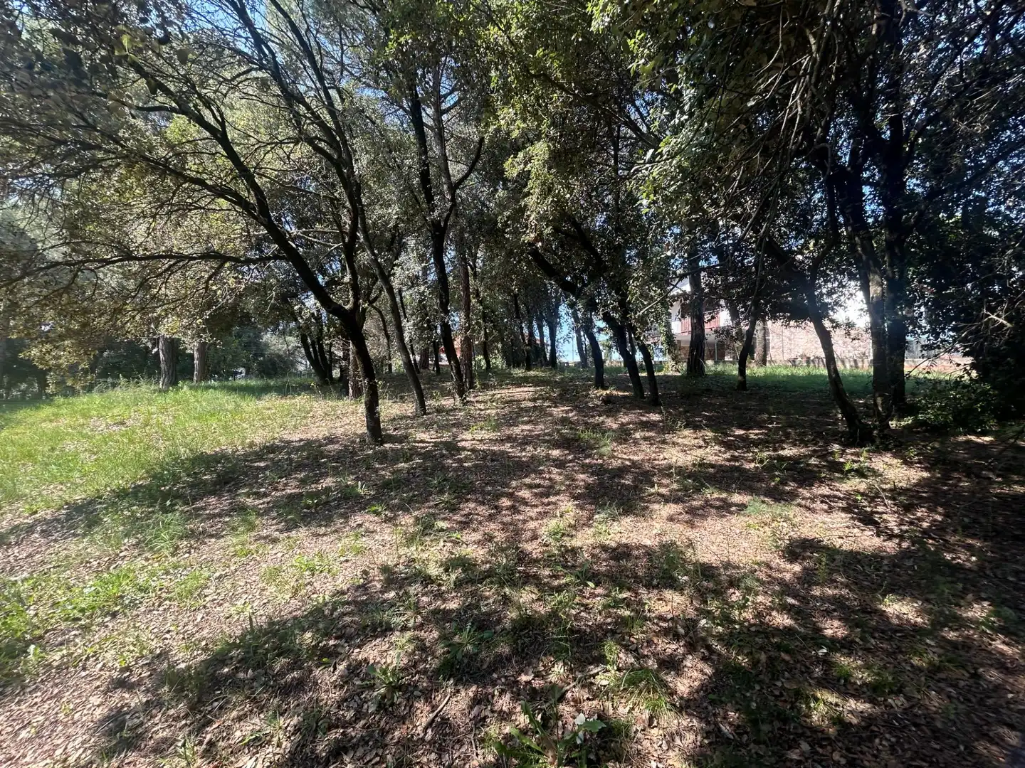 Residencial en venta en Sant Antoni de Vilamajor