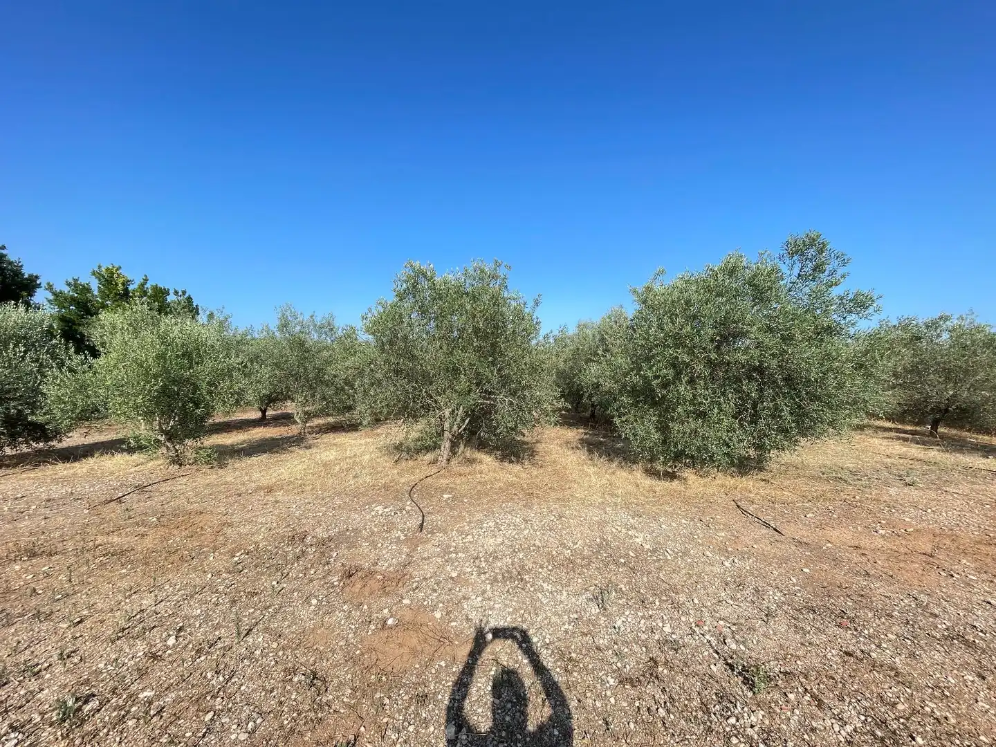 Casa con piscina en venta en sant bernabe, imagen 18