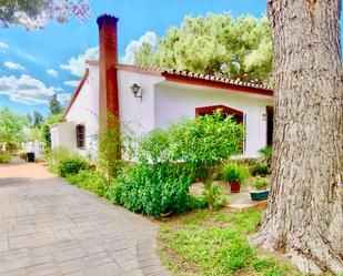 Garden of Country house for sale in Alhaurín El Grande