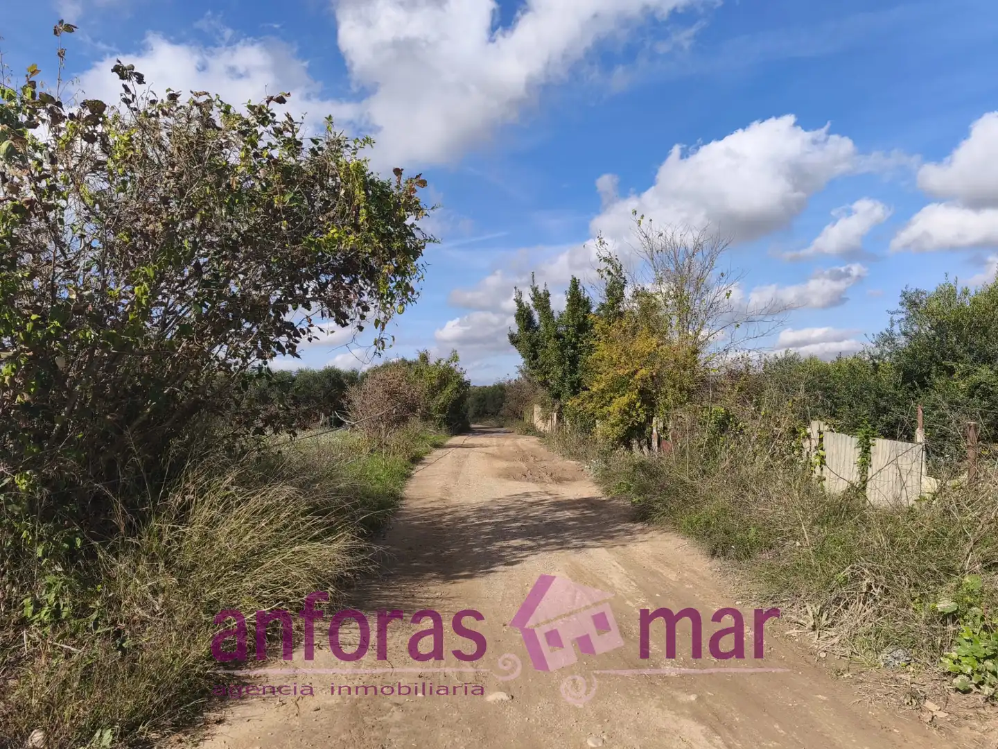 Terreno rústico en venta en La Riera de Gaià, imagen 6