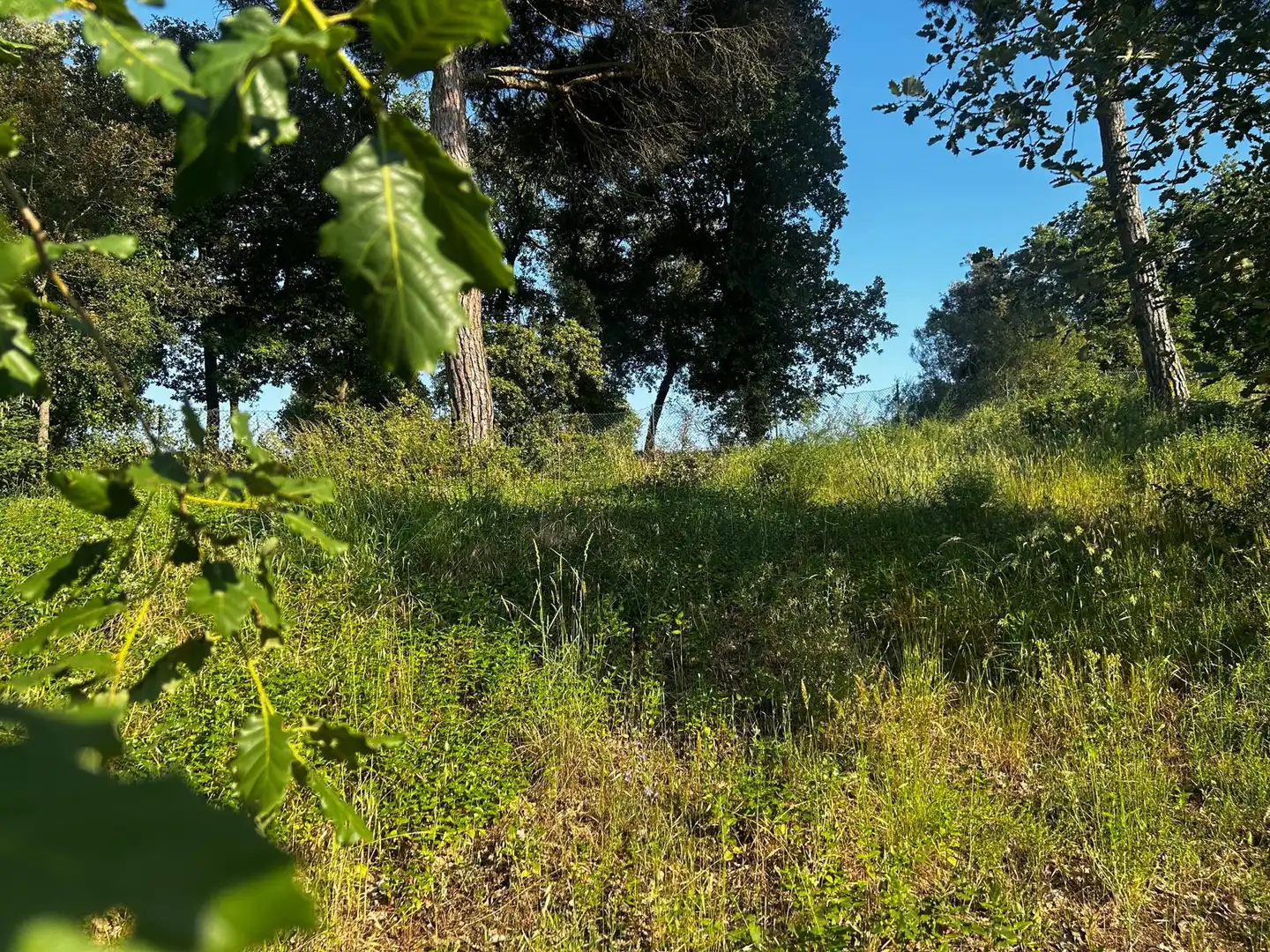Residential land for sale in Residencial Park, imagen 10