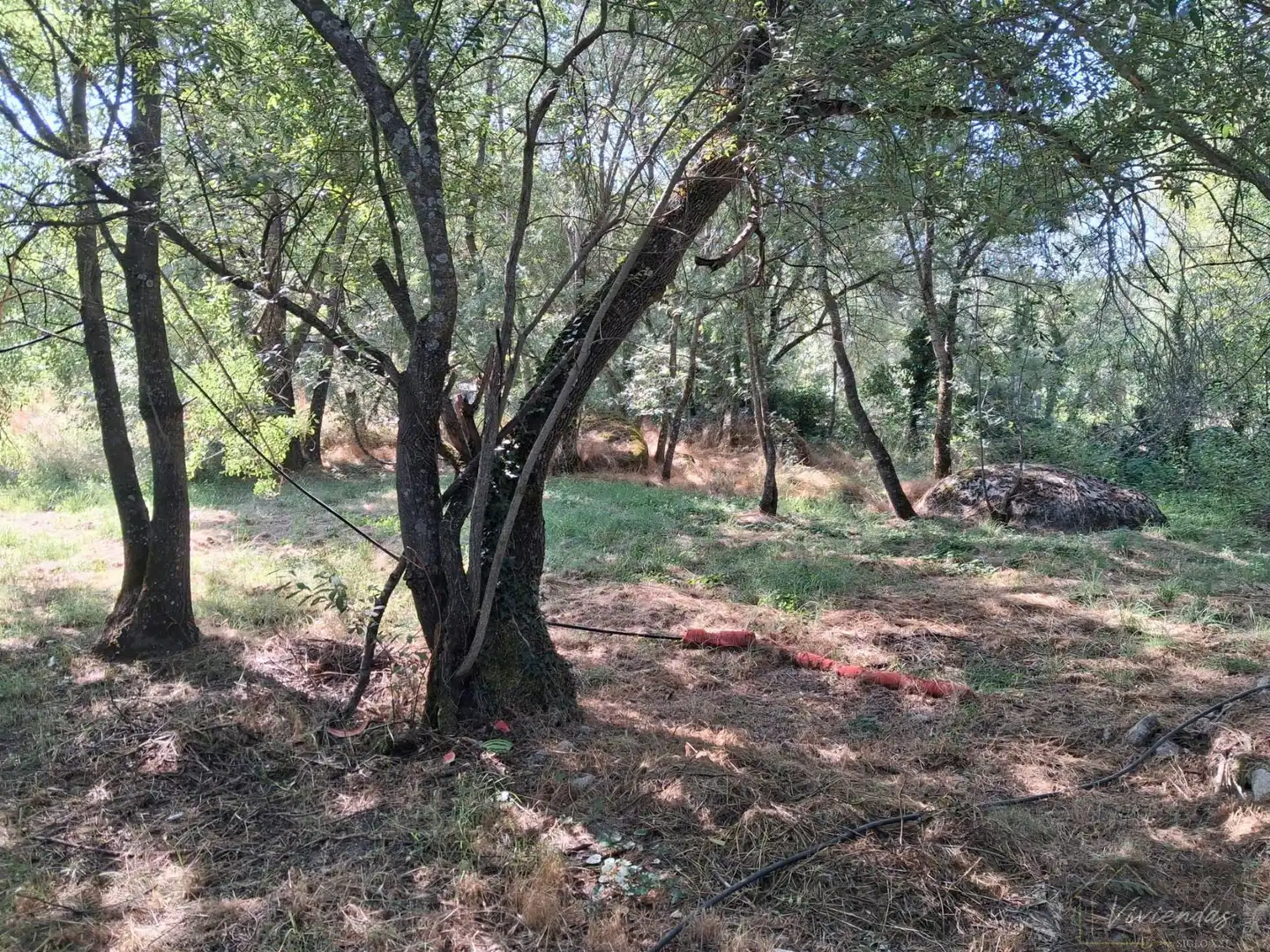 Finca rústica en venta en Bustarviejo