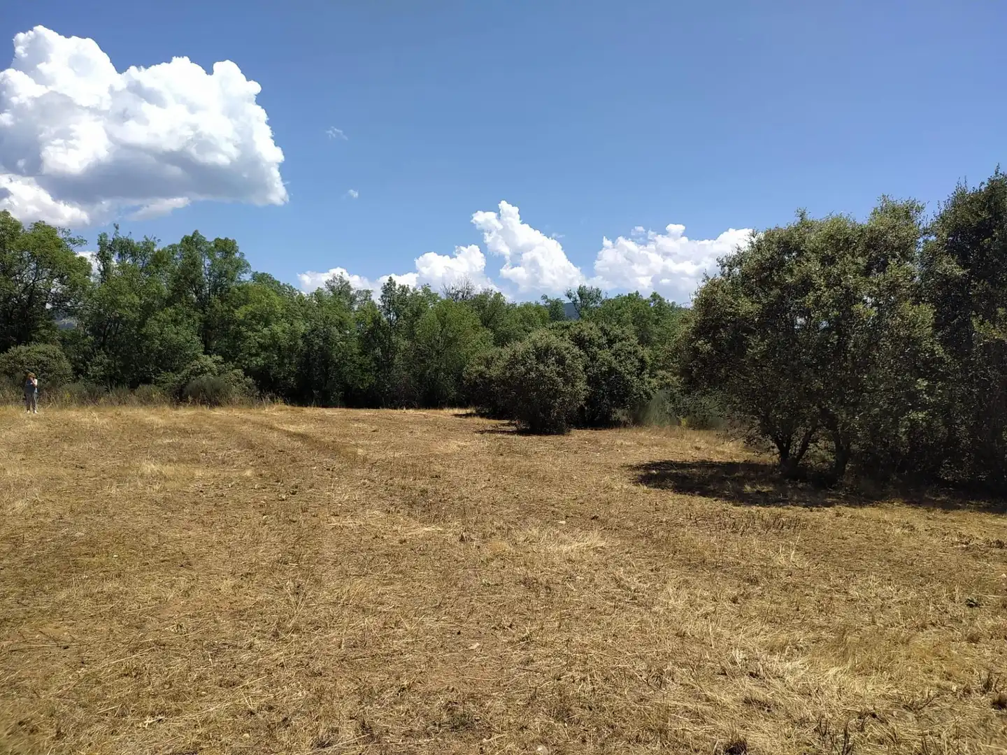 Terreni e lotti in vendita a Cubillos del Sil, imagen 8