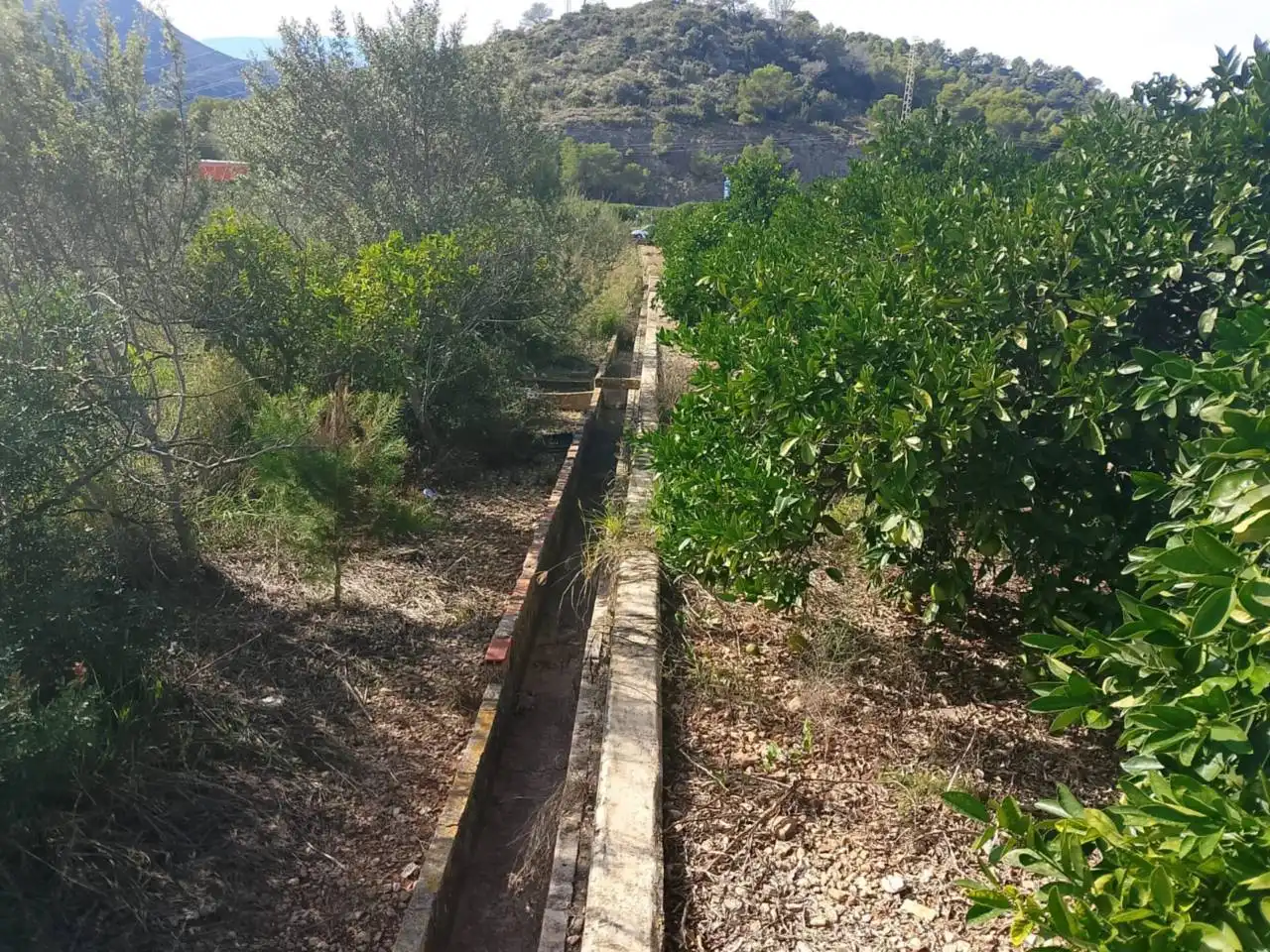 Rustikales Grundstück zum Verkauf in Camino Xeraco a Xeresa, imagen 16
