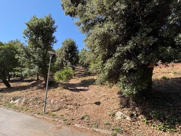 Terreny residencial en venda a Turó de Monfort 90