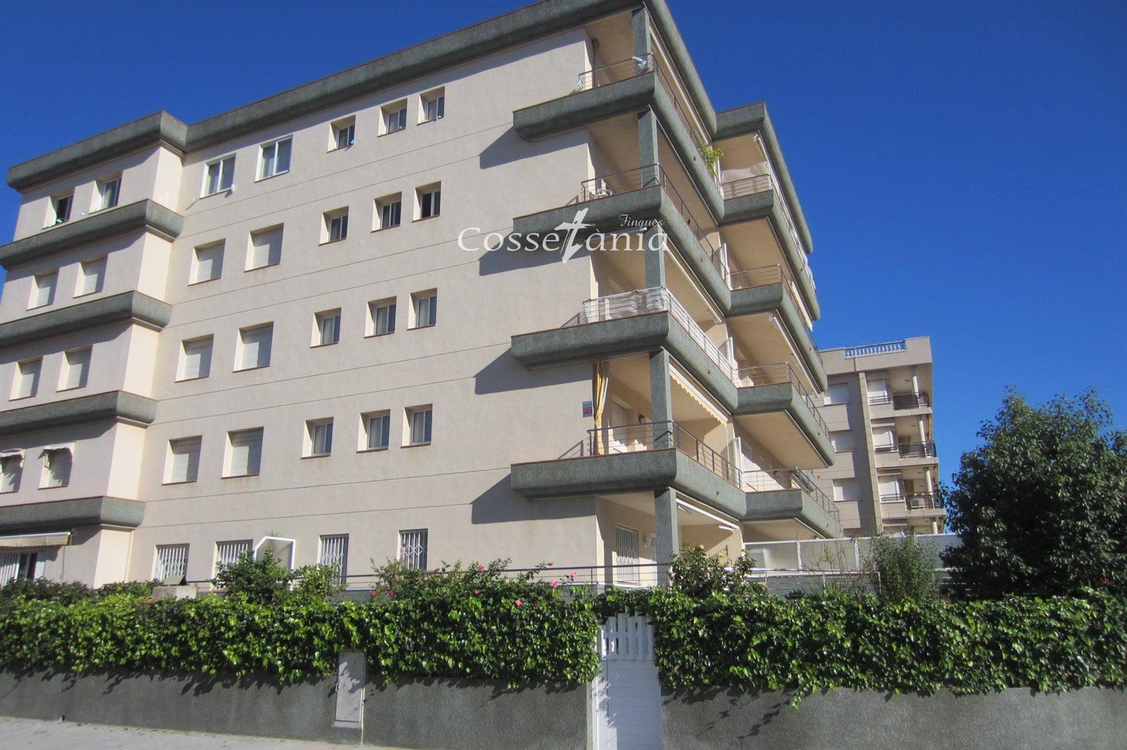 Flat for sale in CARLES BARRAL, L'Estany