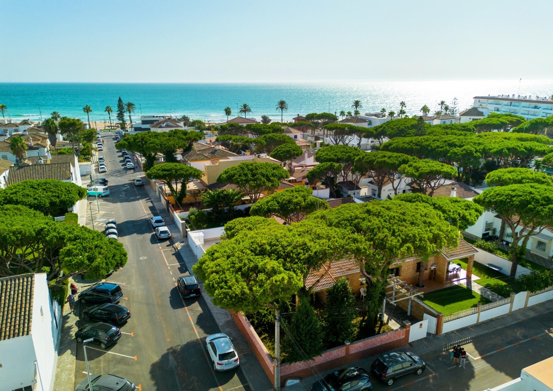Vista exterior de Casa o xalet en venda en Chiclana de la Frontera amb Jardí privat, Terrassa i Traster