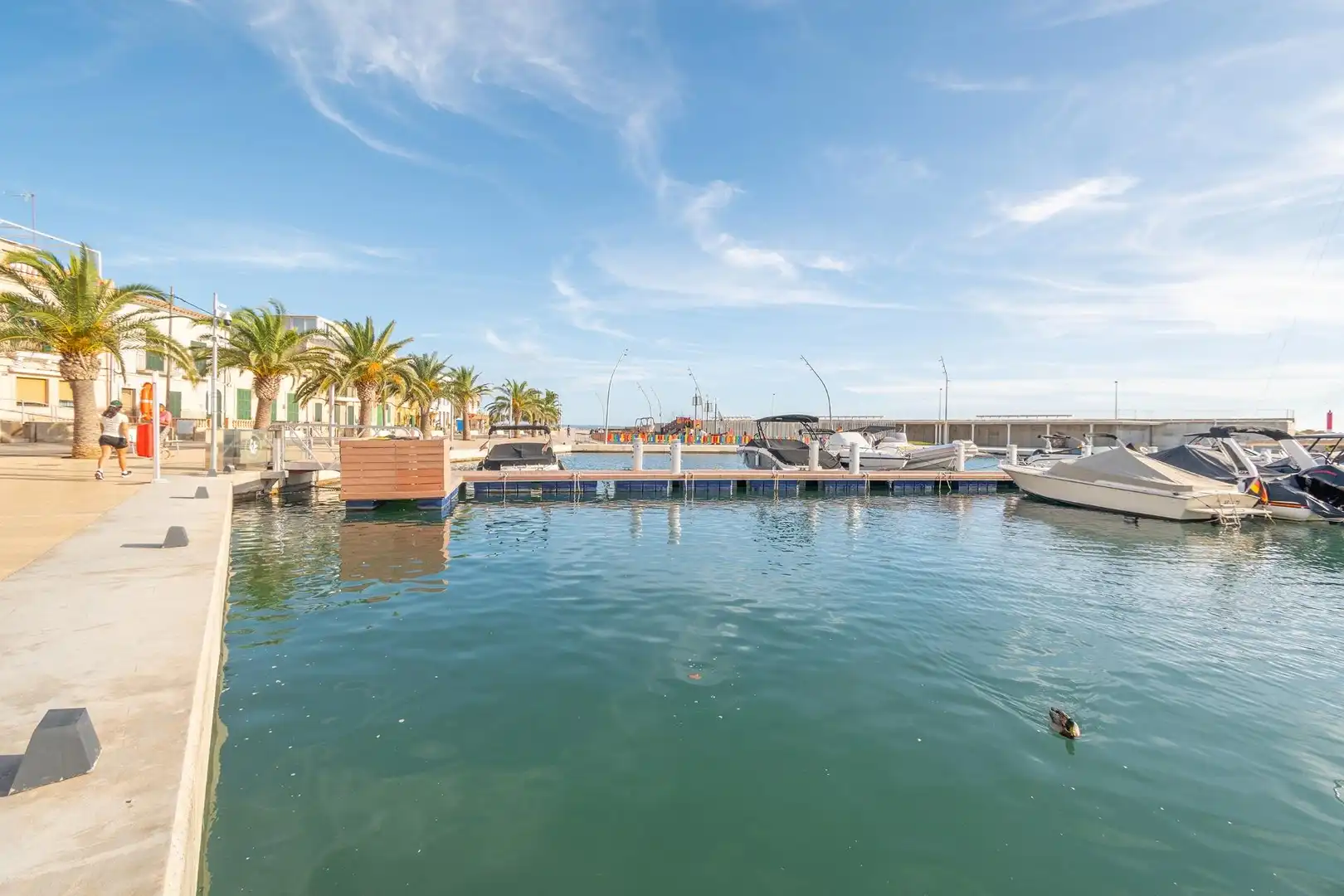 Piscina de Casa o xalet en venda en  Palma de Mallorca