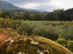 Terreni e lotti in vendita a Jarandilla de la Vera, imagen 4