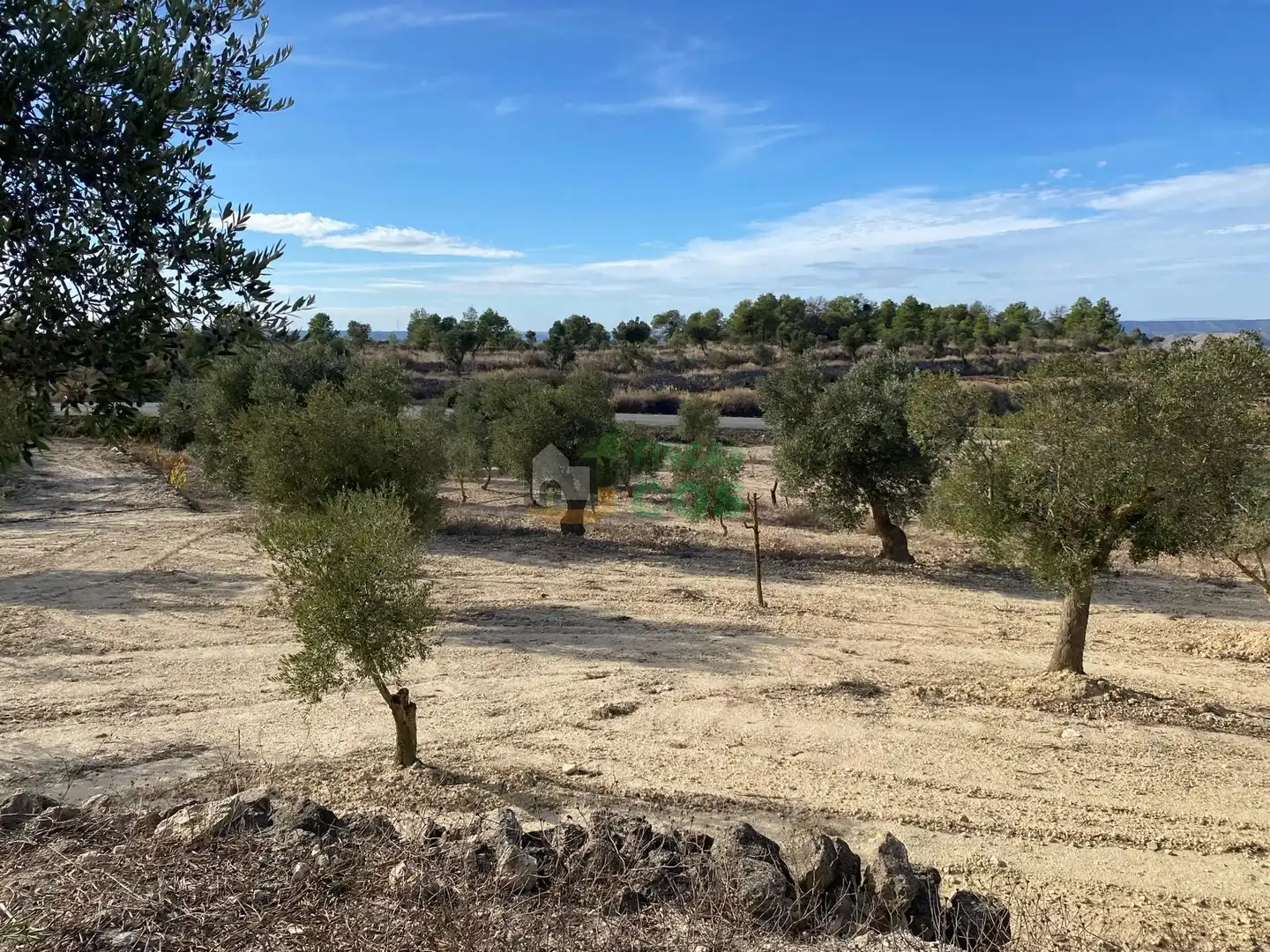 Terreno rústico en venta en Almatret, imagen 2