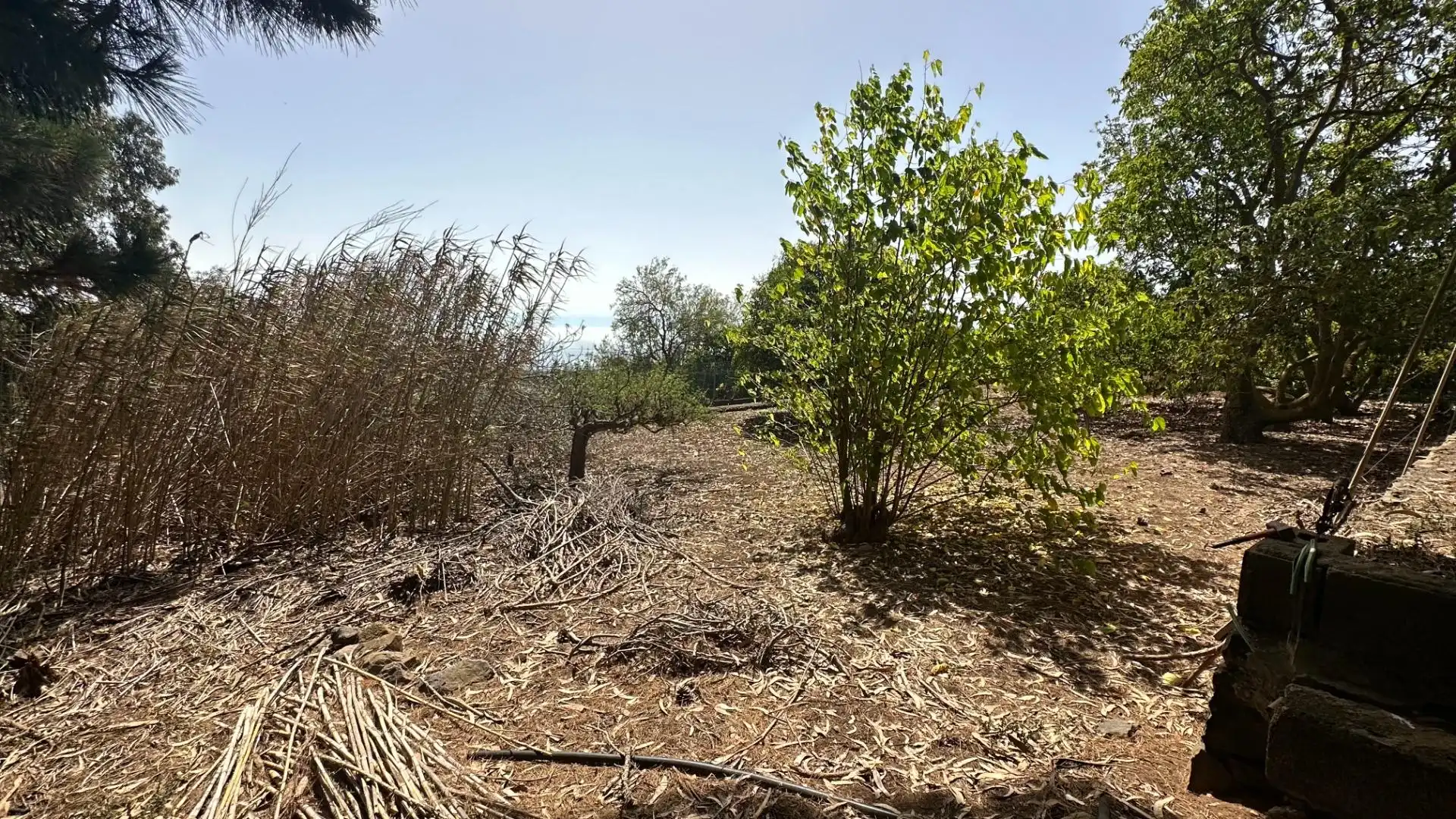 Finca rústica en venta en El Rosario con Jardín privado, Terraza y Alarma