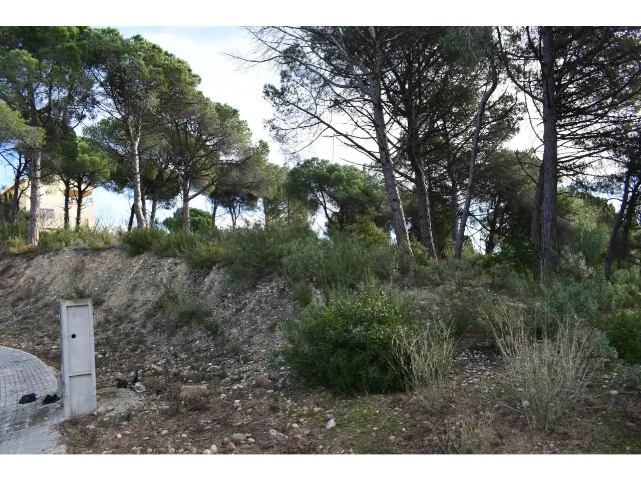 Terreny rústic en venda a Castellnou - Can Mir - Can Solà, imagen 9