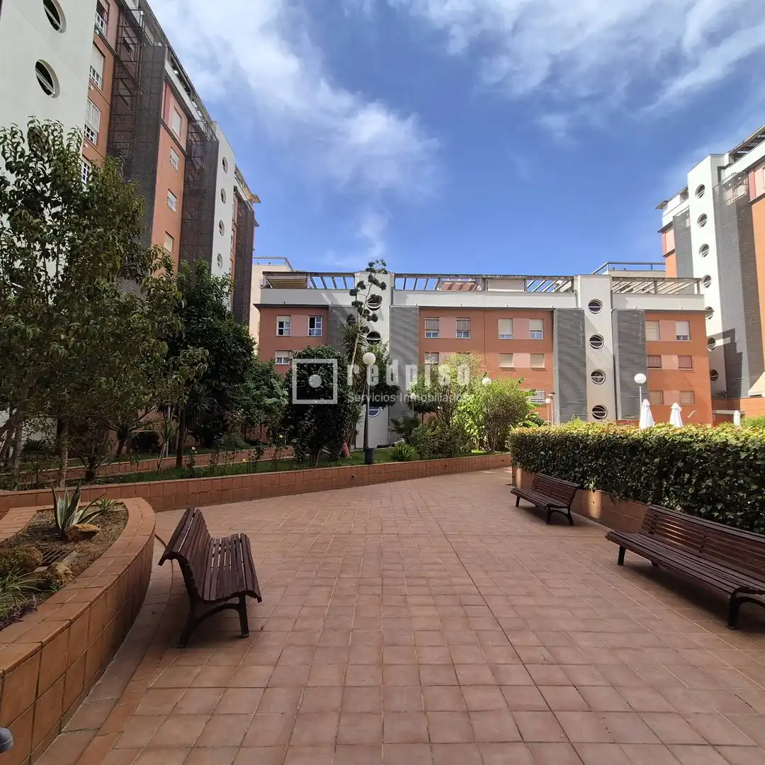 Flat for rent in Nueva Delhi, Colores - Entreparques