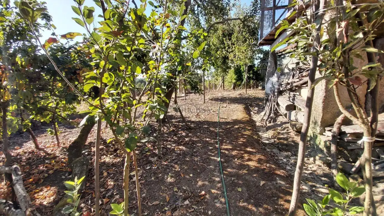 Casa o xalet en venda en San Cristovo de Cea amb Calefacció, Jardí privat i Terrassa