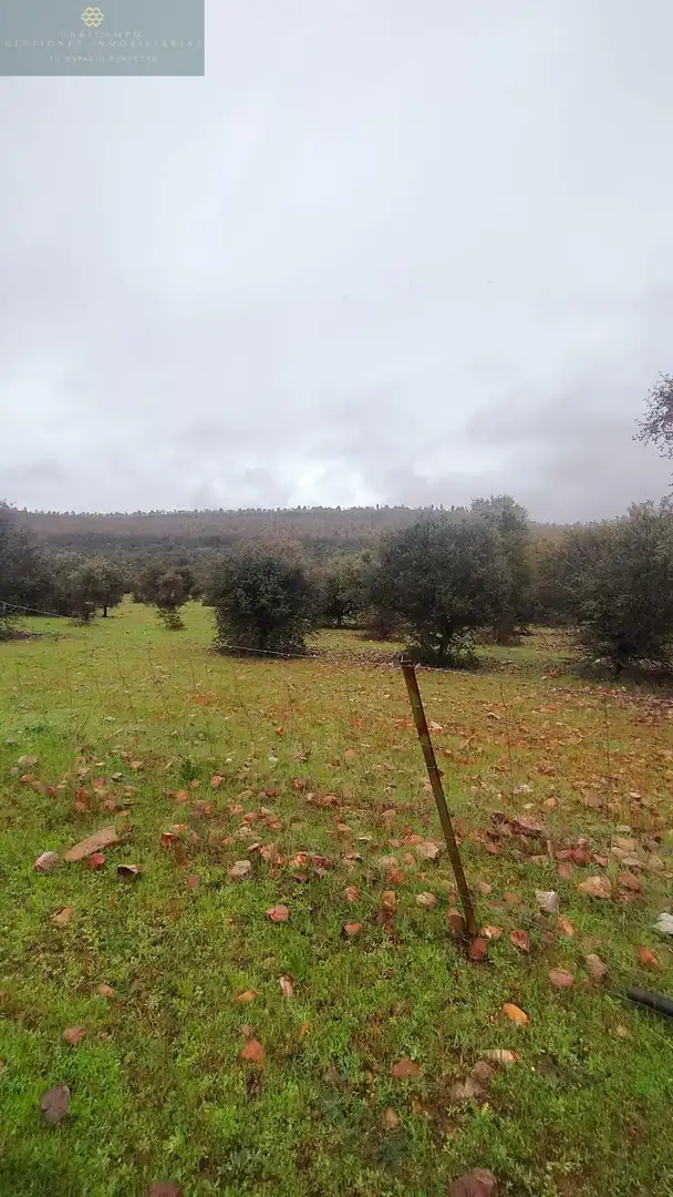 Finca rústica en venta en La Nava de Santiago  con Piscina