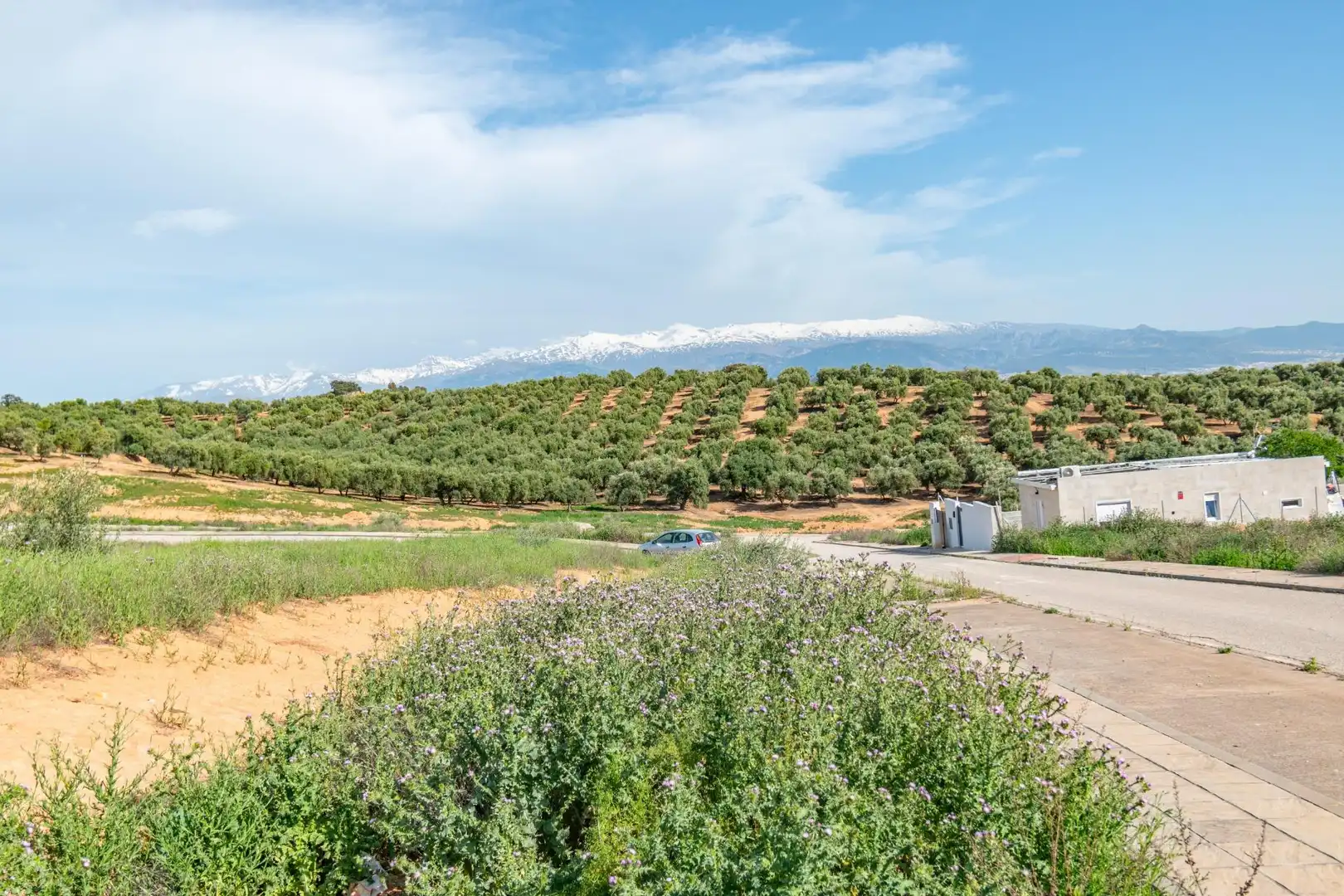 Residencial en venta en Albolote, Granada