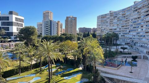 Photo 5 of Flat for rent in Avenida Benidorm, Playa de San Juan, Alicante / Alacant