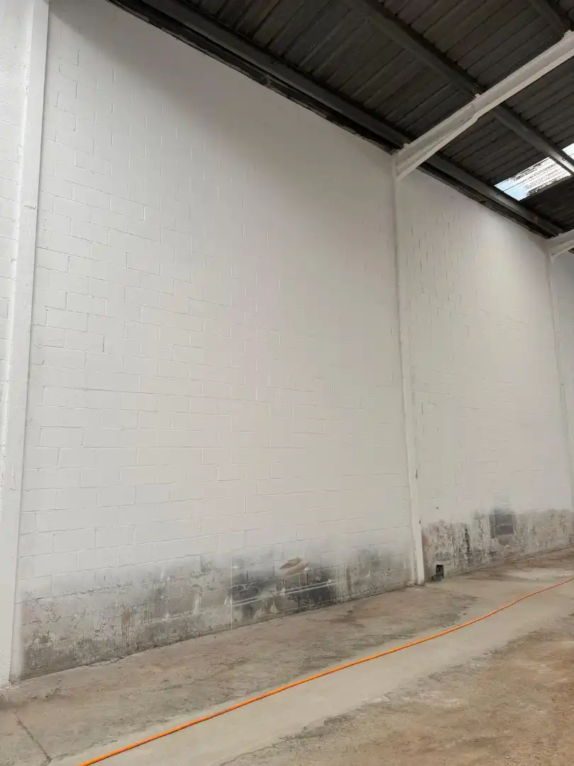 Industrial buildings for rent in Castellbisbal