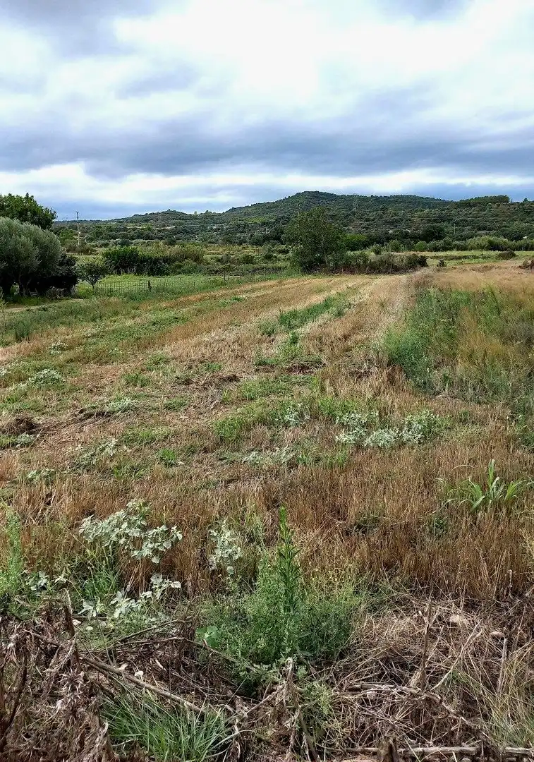 Residential for sale in El Grado
