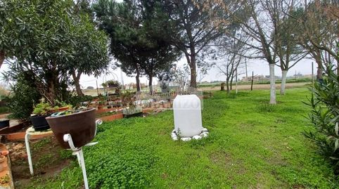 Foto 3 de Casa o chalet en venta en Calle San Francisco, 43, Villanueva de la Serena, Badajoz