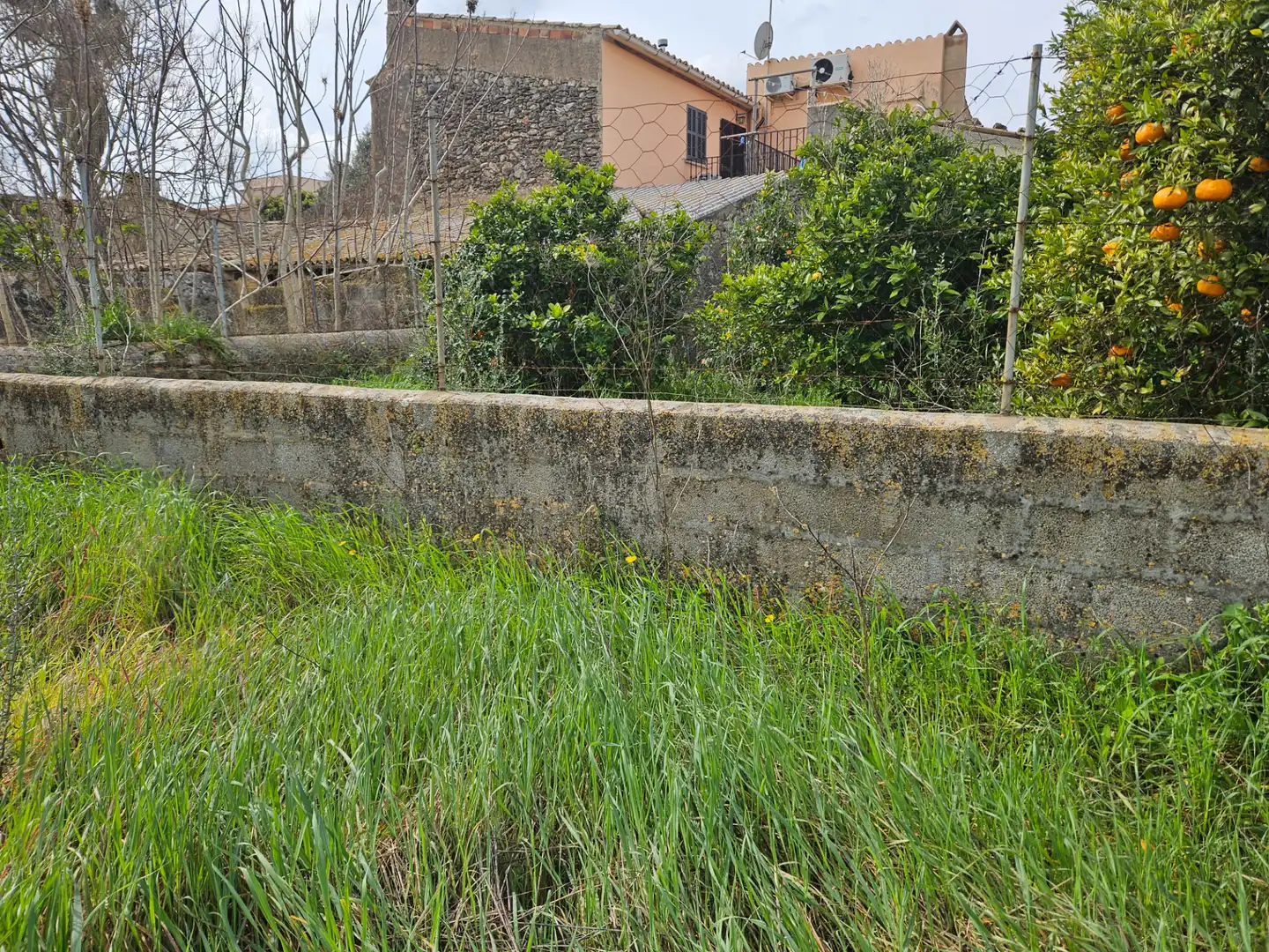 Terreno residencial en venta en Carrer d'en Fiol 19, imagen 2