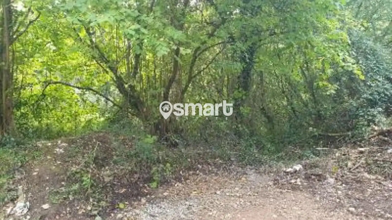 Terreno rustico in vendita a Villalegre - La Luz, imagen 18