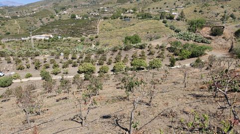 Foto 3 de Terreno en venta en Arrabal Arroyo Primero, Norte - Barrio del Pilar - El Reñidero, Vélez-Málaga