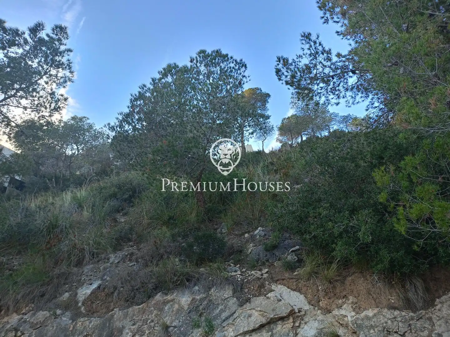 Terreny residencial en venda a Llevantina - Montgavina - Quintmar, imagen 10