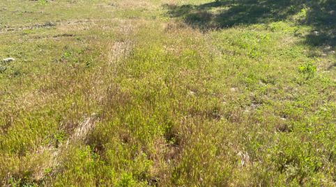 Photo 4 of Land for sale in Calle Rey Fernando, Baena, Córdoba