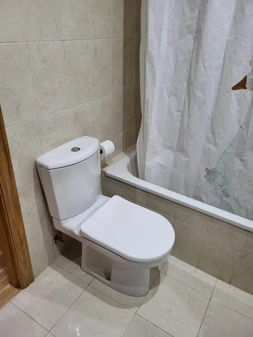 Apartments for rent in Calle Rosalía de Castro, Puerta de Toledo - Atalaya