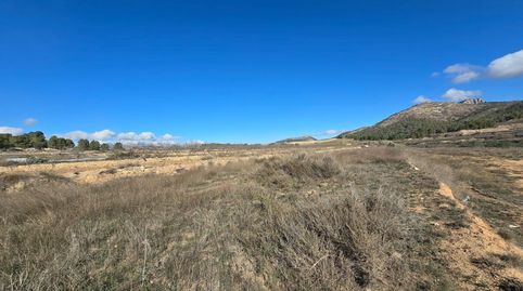 TERRENO RURAL EN VENTA EN LA ROMANETA MONÓVAR, imatge 3