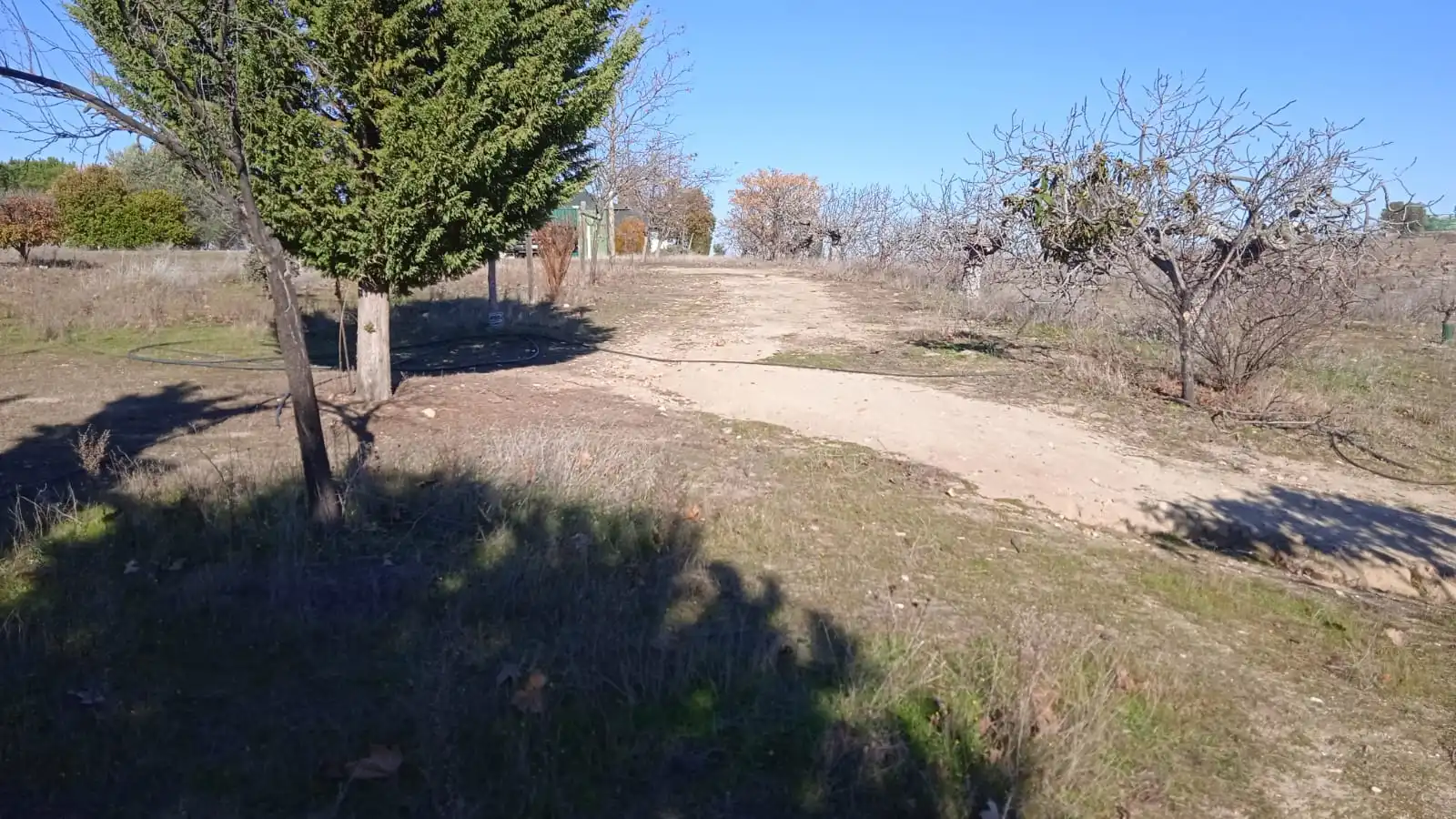 Terreno en venta en Illán de Vacas