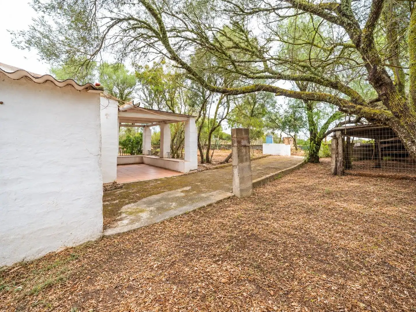 Casa rústica amb jardí en venda a Ctra Palma- Porto Petro, imagen 18