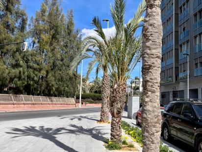 Exterior view of Flat for sale in Elche / Elx