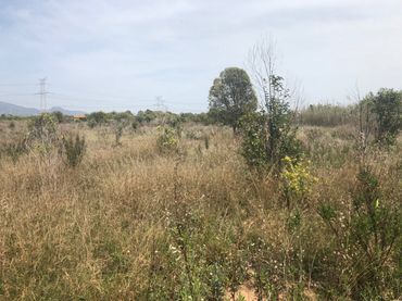 Terreno residenziale in vendita a Este