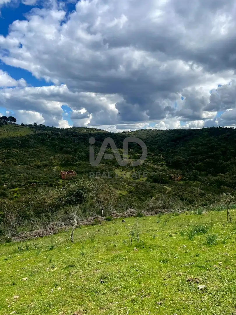 Terreno en venta en Berrocal