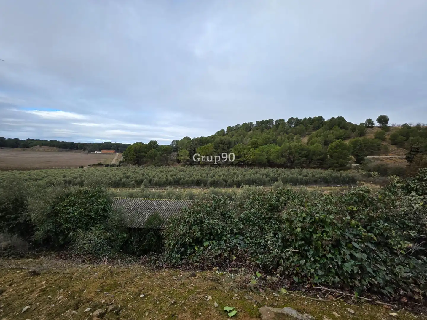 Terreno rustico in vendita a Alpicat, imagen 8